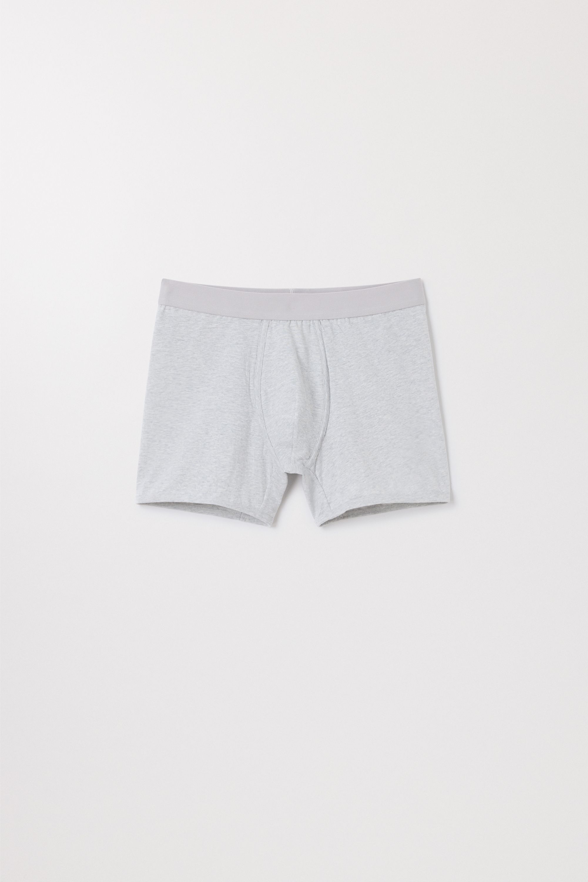 The Boxer Brief