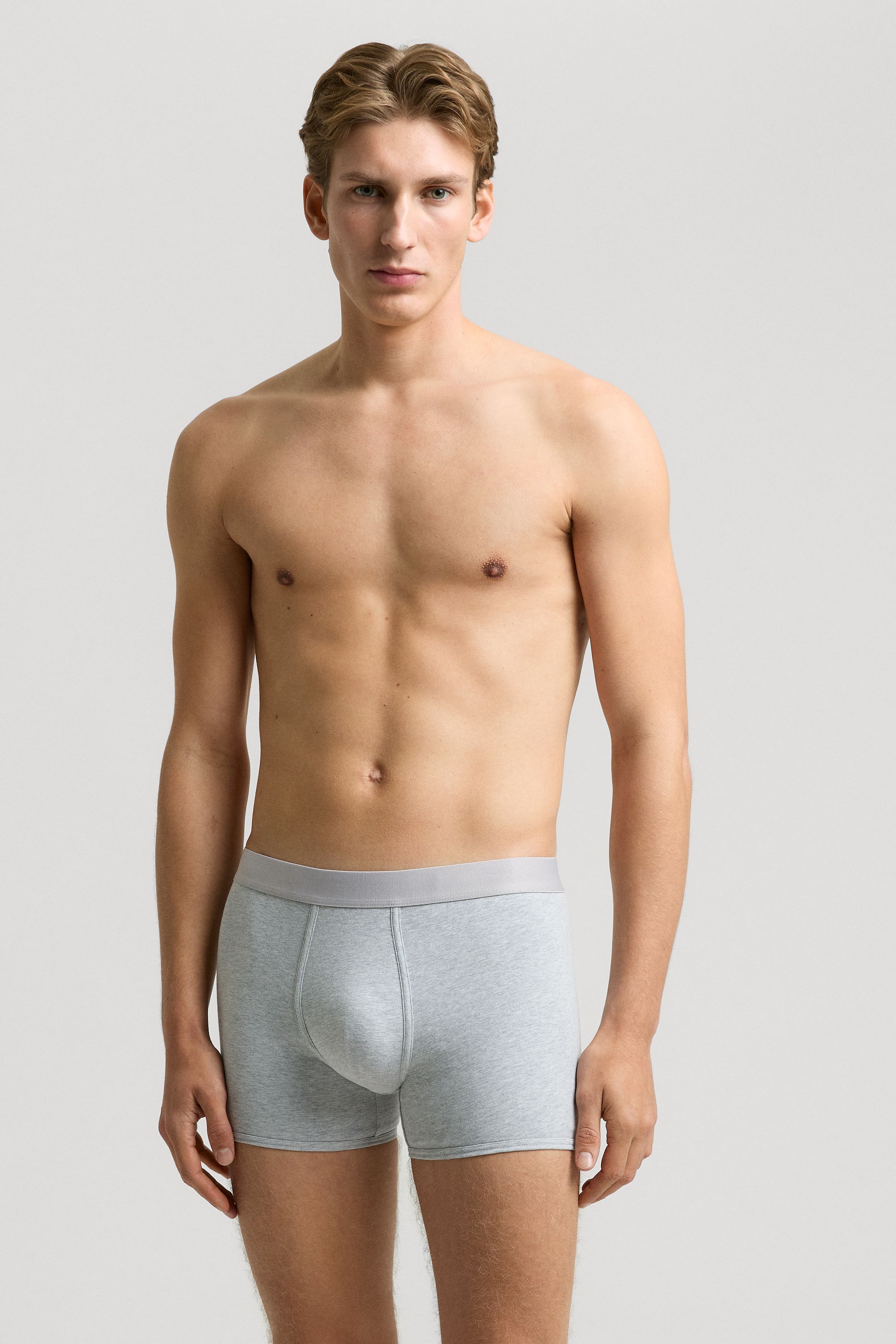 Image number 1 of The Boxer Brief