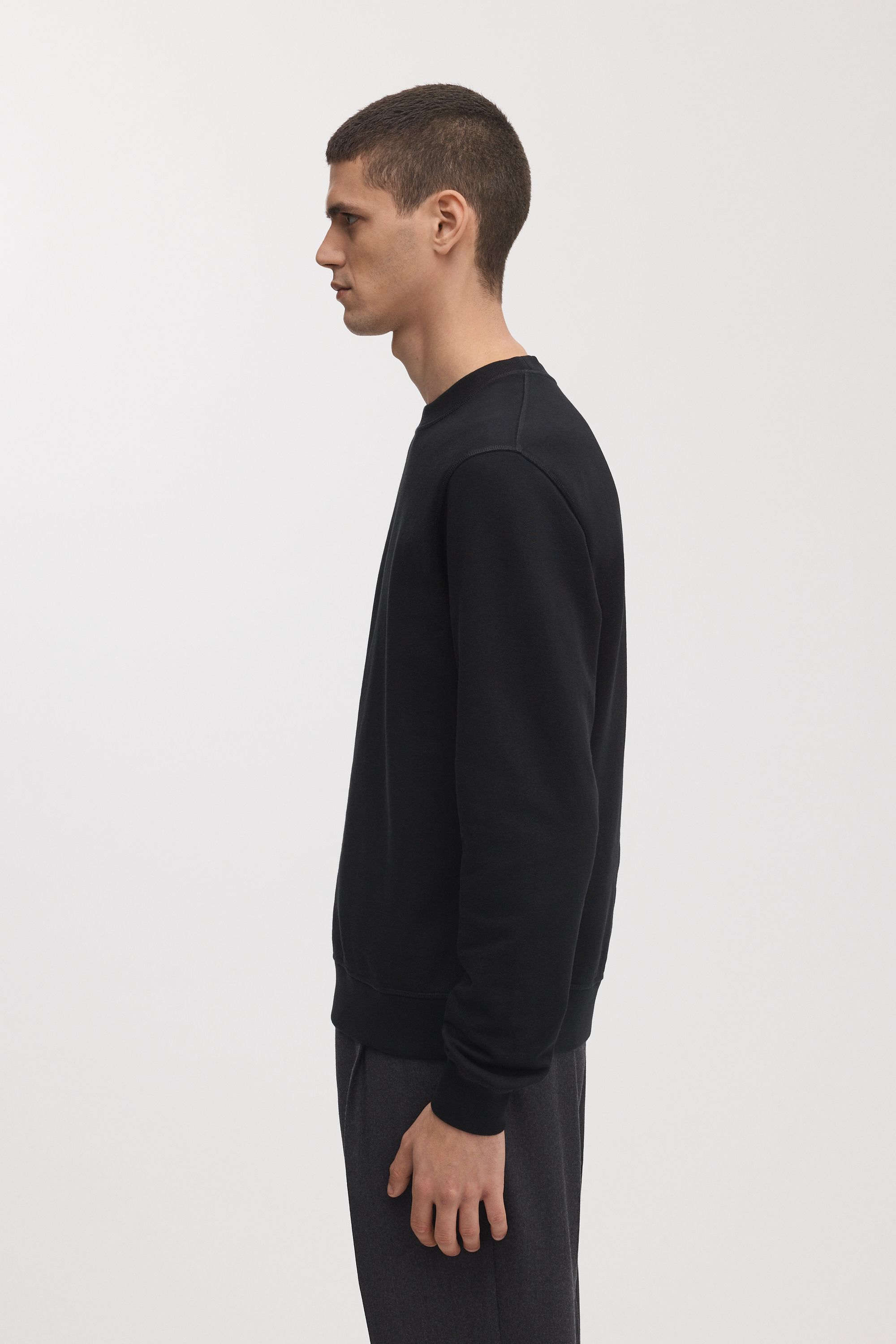 The Sweatshirt