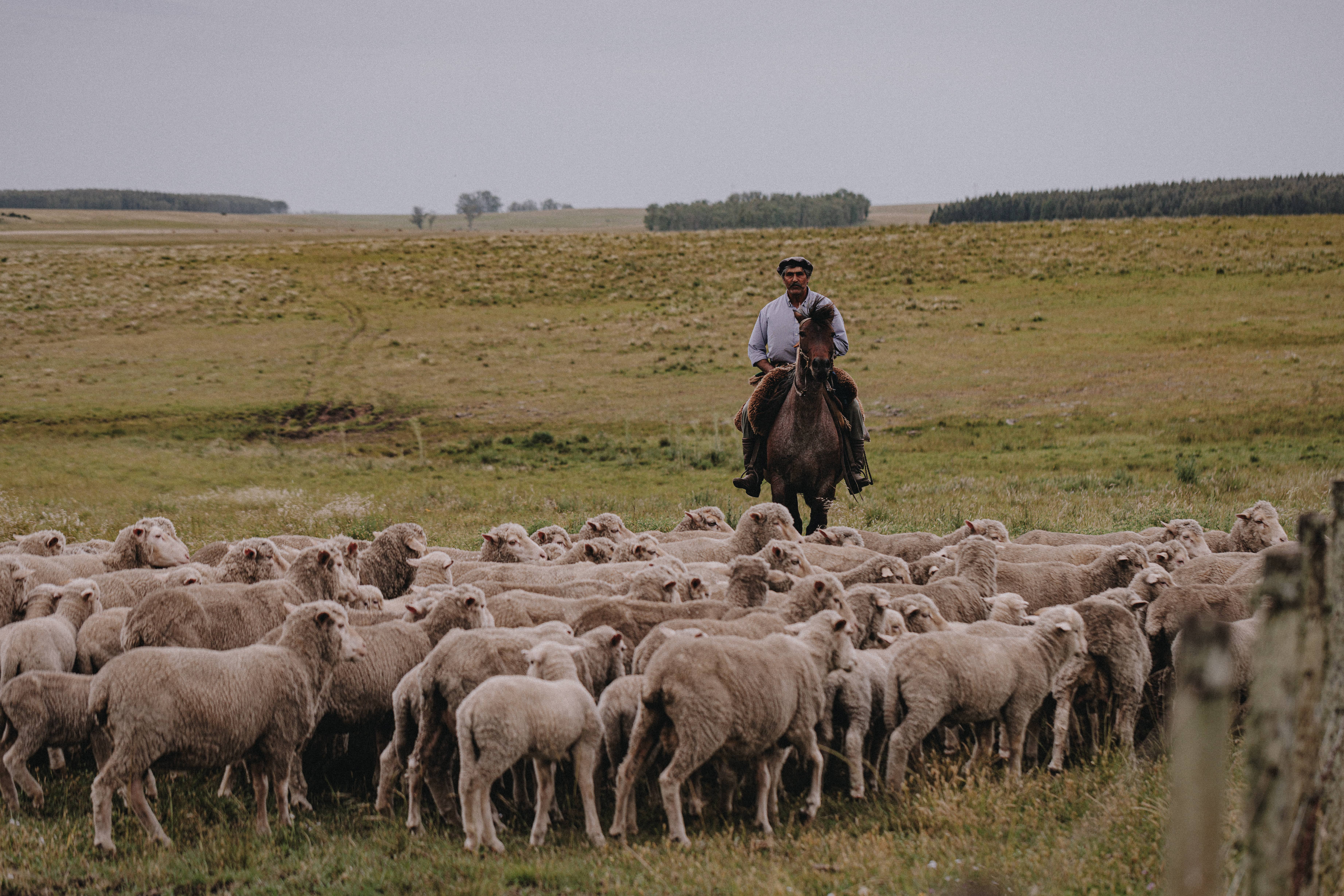 Nativa Regenerative Farms
