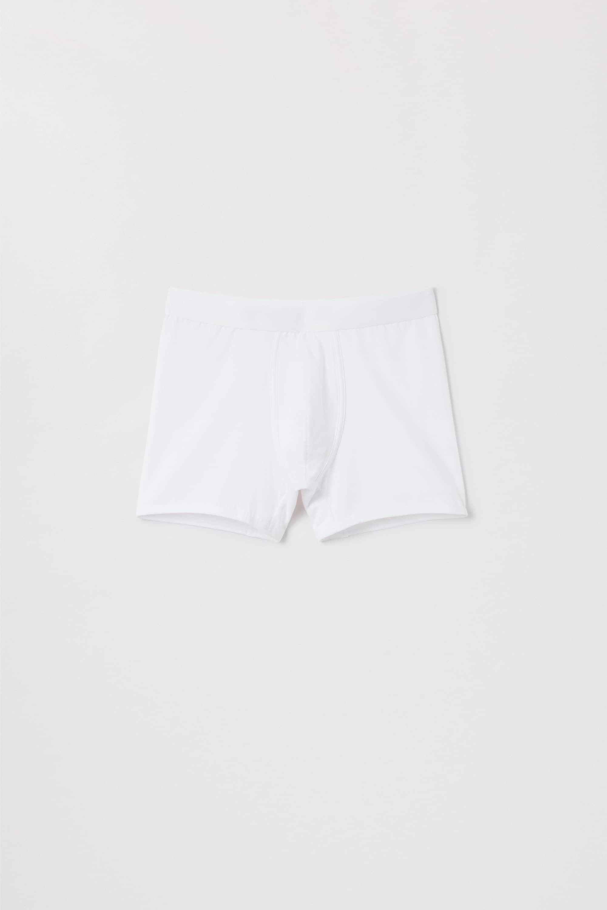 The Boxer Brief