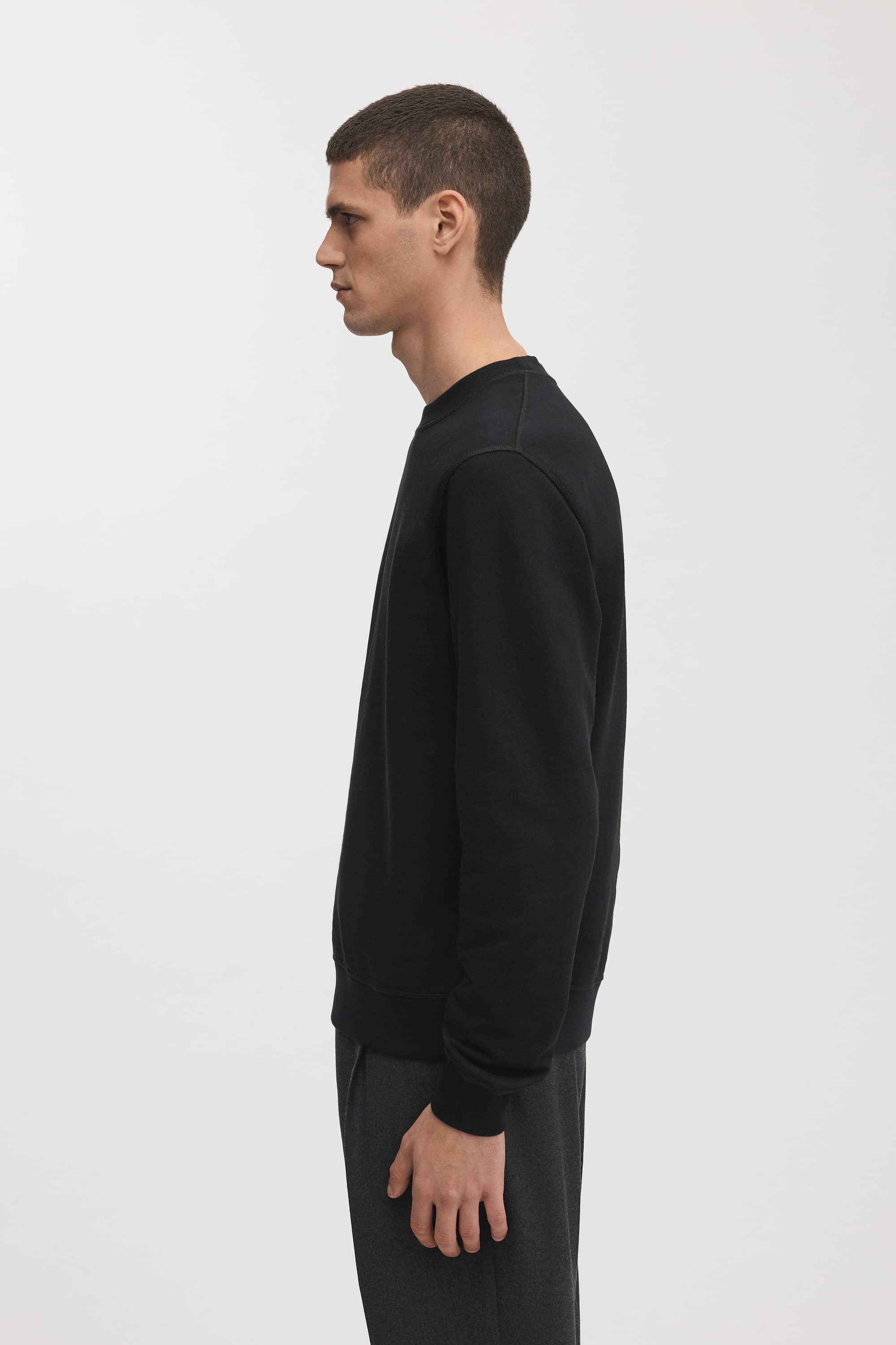 Image number 3 of The Sweatshirt